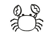 螃蟹的简笔画怎么画 小螃蟹简笔画