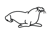 小海狮简笔画 卡通海狮图片大全