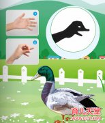 鸭子（Duck）的手影表演技巧 小鸭子手影做法