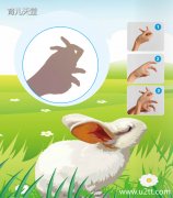 兔子手影怎么做 兔子手影教学