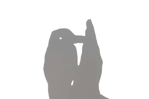 啄木鸟的手影表演图解