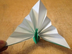 手工折纸孔雀教程―简单折纸大全图解教程