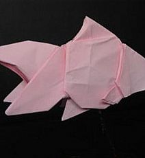 鱼类折纸大全图解之折纸金鱼图解教程