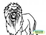 百兽之王狮子的简笔画分享