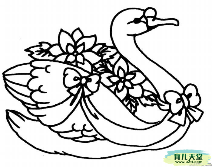 美丽的天鹅简单画法 如何画天鹅简笔画