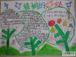 中国植树节手抄报，多植一棵树，还世界一片绿
