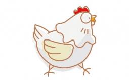 鸡蛋简笔画，简笔画动画教程之母鸡的画法