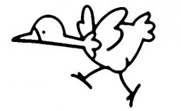 小鸡出壳简笔画，火鸡的简单画法