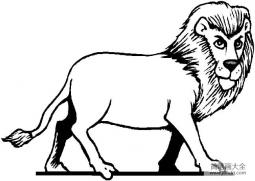 关爱动物的简笔画，森林之王狮子简笔画图片