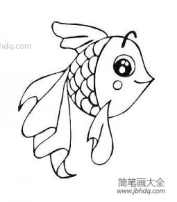 动物简笔画图画法，可爱的小金鱼简笔画图片