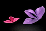 花束包装折纸图解教程，兰花折纸视频教程