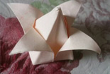 手工花朵折纸，美美哒的郁金香折纸步骤