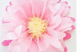 做法简单点的折纸花，美丽妖娆的菊花折纸教程图解分享