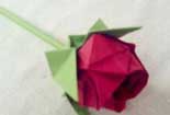 折纸花教案，折纸玫瑰花步骤图解，大红色的玫瑰花