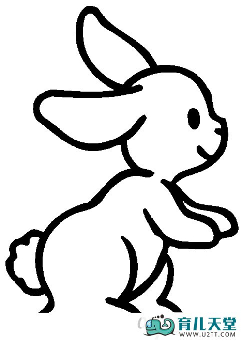 简笔画 动物简笔画 兔子简笔画   《兔子幼儿简笔画,可爱的小白兔》这