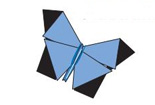 蓝色的澳大利亚蝴蝶的折法