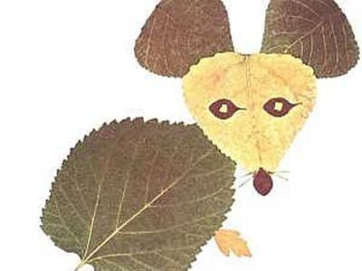 回头看着大家的老鼠的树叶优秀贴画作品